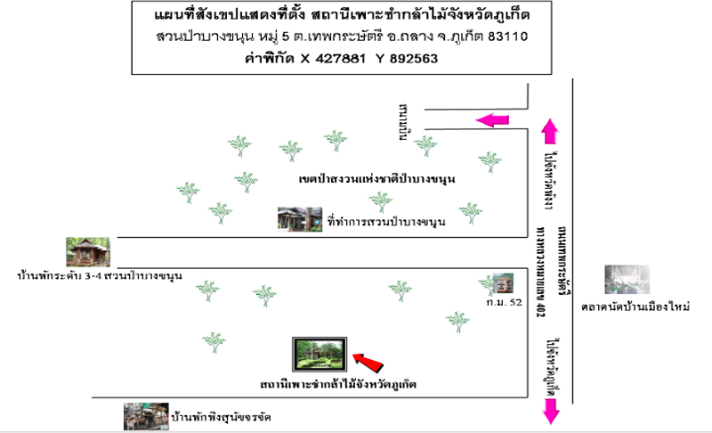 สถานีเพาะชำกล้าไม้จังหวัดภูเก็ต.png