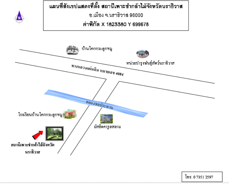 สถานีเพาะชำกล้าไม้จังหวัดนราธิวาส.png