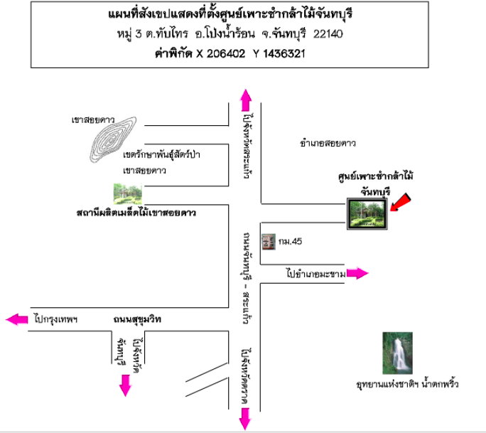 ศูนย์เพาะชำกล้าไม้จันทบุรี.png