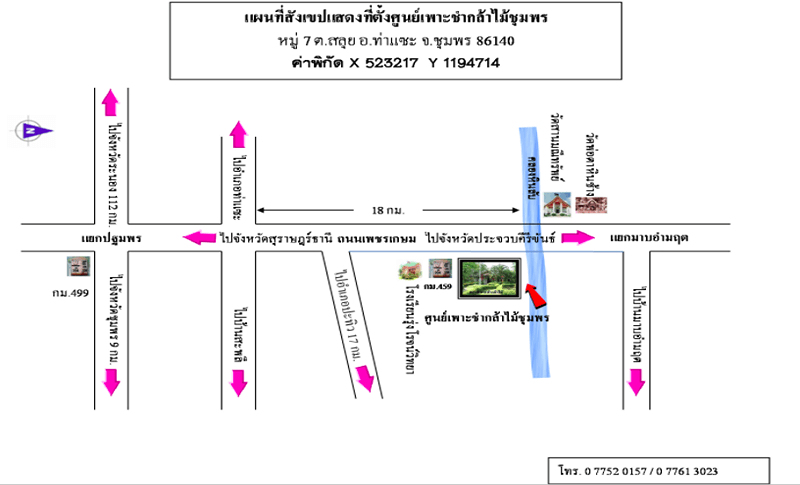 ศูนย์เพาะชำกล้าไม้ชุมพร.png