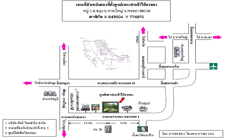 ศูนย์เพาะชำกล้าไม้สงขลา.png