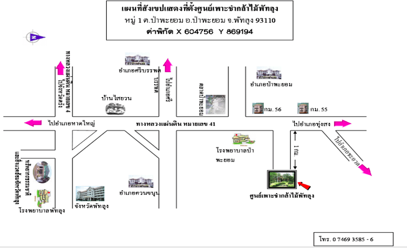 ศูนย์เพาะชำกล้าไม้พัทลุง.png