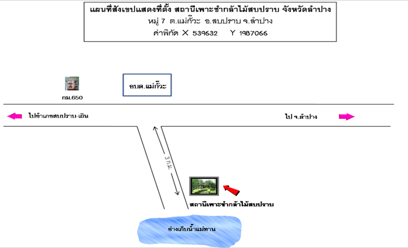 สถานีเพาะชำกล้าไม้สบปราบ จังหวัดลำปาง.png