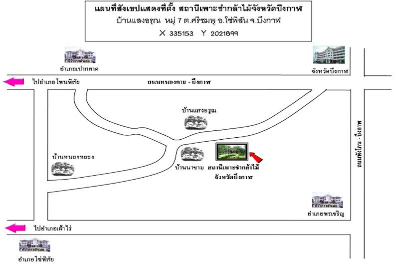 สถานีเพาะชำกล้าไม้จังหวัดบึงกาฬ.png