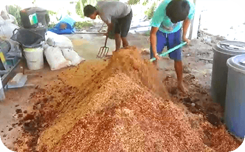 ประเภทของปุ๋ย ประเภทของปุ๋ย ที่ใช้ในการเกษตร