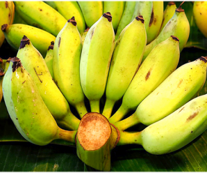 กล้วยน้ำว้า พันธุ์กล้วยน้ำว้า การปลูกกล้วยน้ำว้า ให้มีขายทั้งปี