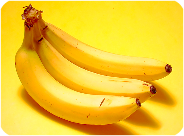 การปลูกกล้วยหอมทองพันธุ์