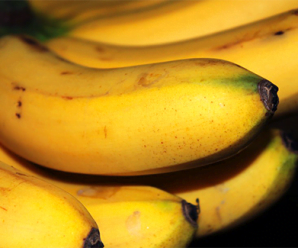 กล้วยไข่ ใบกล้วย ผลกล้วย ต้นกล้วย ประวัติความเป็นมา
