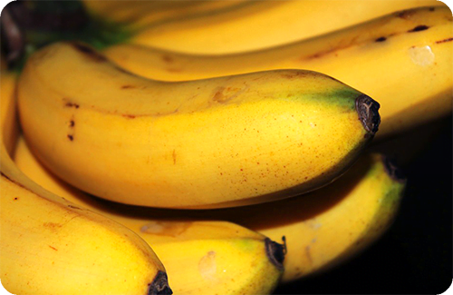  กล้วยไข่ ใบกล้วย ผลกล้วย ต้นกล้วย ประวัติความเป็นมา 