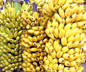ประโยชน์ โภชนาการ พลังงานและคุณค่าทางอาหารของกล้วย