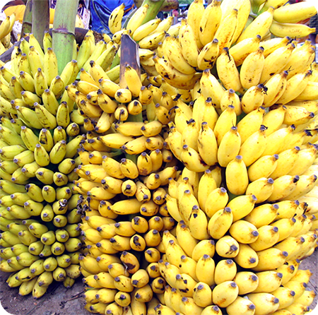 โภชนาการ พลังงานและคุณค่าทางอาหารของกล้วย