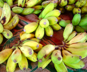 แปรรูปกล้วยตากจากกล้วยน้ำว้าสุกพร้อมวิธีการทำกล้วยตาก