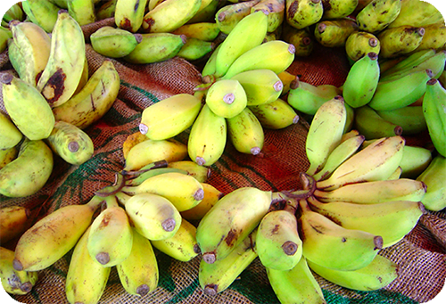 แปรรูปกล้วยตากจากกล้วยน้ำว้าสุกพร้อมวิธีการทำกล้วยตาก