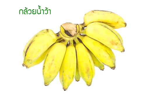 กล้วยน้ำว้า คุณค่าทางอาหาร โภชนาการของกล้วยน้ำว้า