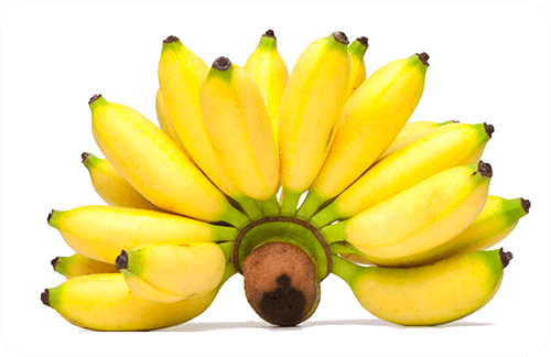 กล้วยไข่ คุณค่าทางอาหาร โภชนาการของกล้วยไข่