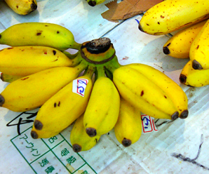 การแปรรูปกล้วยดิบ กล้วยไข่กรอบแก้ว สร้างรายได้จากกล้วย