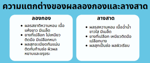 ความแตกต่าง