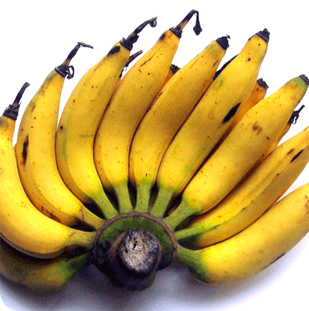 กล้วยเล็บมือนาง ผลไม้เครือมีกลิ่นหอมเหมือนกล้วยหอม มีขนก้านเครือและก้านหวี 