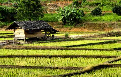 การท่องเที่ยวภาคเหนือ