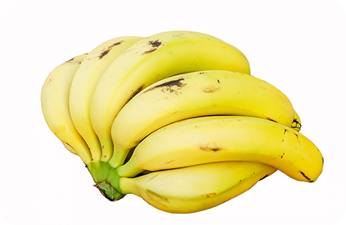 ทำความรู้จักกับพันธุ์กล้วยหอม กล้วยหอมมีพันธุ์ฺอะไรบ้าง