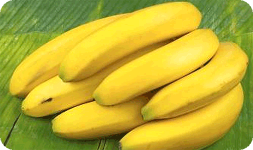 เคล็ดลับวิธีการบ่มกล้วยให้สุกเร็ว แบบภูมิปัญญาชาวบ้านโดยการใช้ใบจามจุรี