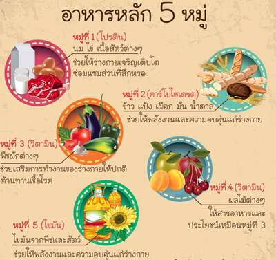 อาหารหลัก 5 หมู่