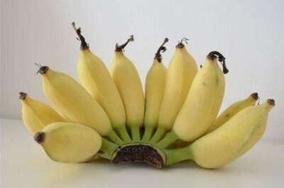 กล้วยน้ำว้าสุก