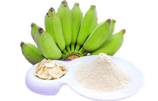 แป้งกล้วย วิธีการทำแป้งกล้วย การแปรรูปกล้วยดิบ