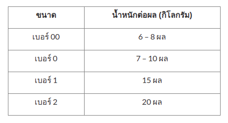 ขนาดส้ม