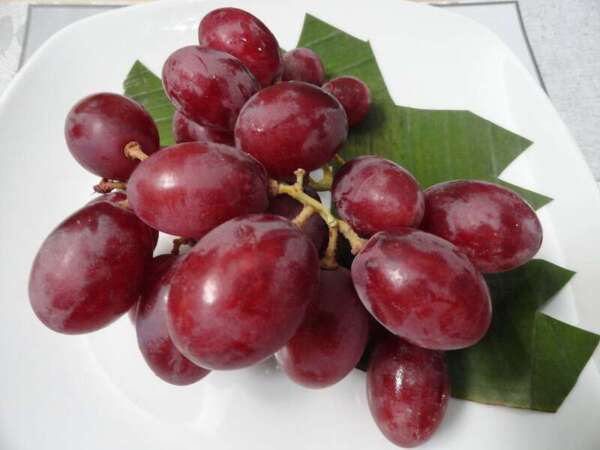 องุ่น องุ่น