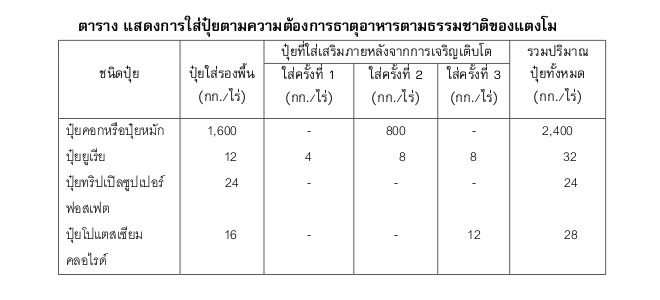 ตารางการใส่ปุ๋ย