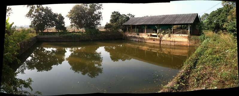 บ่อปลาธรรมชาติ