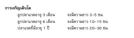 การเจริญเติบโต