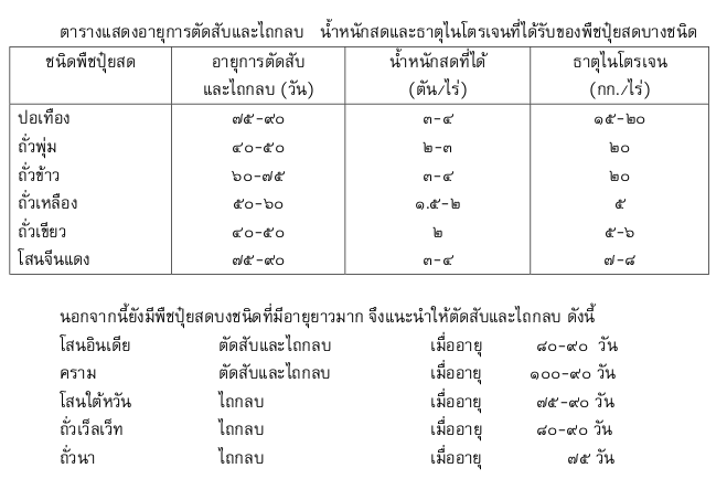 ตารางแสดงอายุการตัดสับ