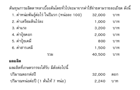 ต้นทุนการผลิตดาหลา