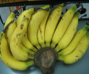 กล้วยแบบไหน ทำเมนูอะไรได้บ้าง