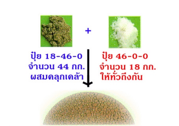 สูตรการผสมปุ๋ยเคมีใช้เอง การผสมปุ๋ย