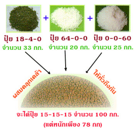 สูตรการผสมปุ๋ยเคมีใช้เอง การผสมปุ่ย