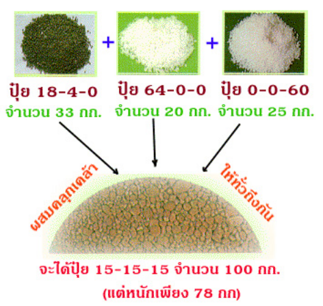 การผสมปุ่ย