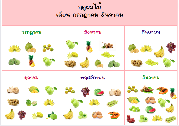 ผลไม้ประจำฤดู ปฏิทินผลไม้ ผลไม้เดือนกรกฎาคม-ธันวาคม