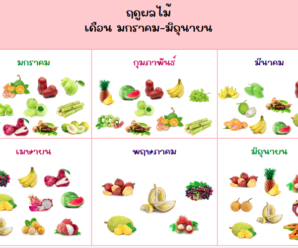 ผลไม้ประจำฤดู ปฏิทินผลไม้ ผลไม้แต่ละเดือน ผลไม้ที่ปลูกในประเทศไทย
