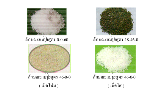 สูตรการผสมปุ๋ยเคมี สูตรปุ๋ย