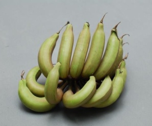 กล้วยนิ้วนางรำ พันธุ์กล้วยพื้นบ้าน ผลสุกรสหวานอมเปรี้ยวเล็กน้อย