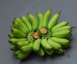 กล้วยแลนดี้ พันธุ์กล้วยที่จัดอยู่ในกลุ่มกล้วยไข่ชนิดหนึ่ง