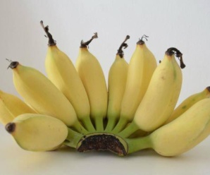 กล้วยน้ำว้า 1 ลูกหนักเท่าไหร่ ให้พลังงานเท่าไหร่