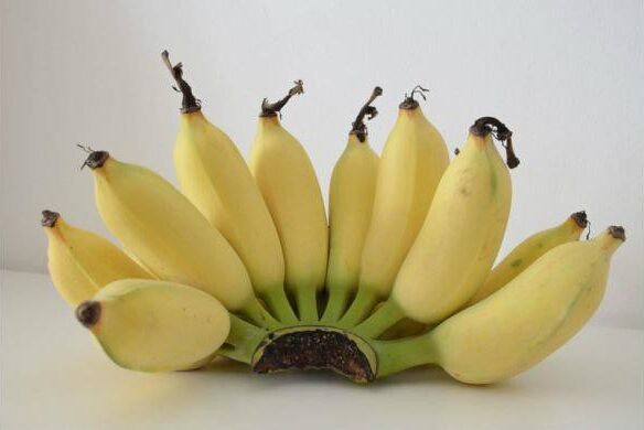 กล้วยน้ำว้าสุก