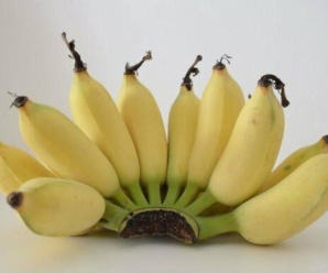 กล้วยน้ำว้า 1 ผลให้พลังงานเท่าไหร่