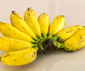 กล้วยไข่ชุมพร พันธุ์กล้วย ผลสุกมีสีเหลือง แต่อาจพบจุดดำเล็กบนเปลือกผล