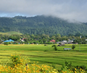 นั่งรถประจำทาง เที่ยวเมืองคอง อำเภอเชียงดาว จังหวัดเชียงใหม่