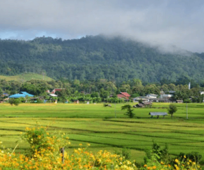 การเดินทางท่องเที่ยวเมืองคอง อำเภอเชียงดาว จังหวัดเชียงใหม่ โดยรถประจำทาง